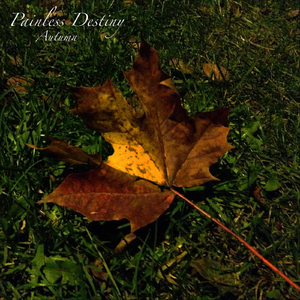 ▓成人涩涩屋视频▓在线下载
