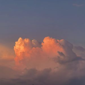 ▓成人涩涩屋视频▓在线下载
